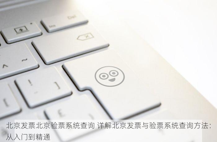 北京发票北京验票系统查询 详解北京发票与验票系统查询方法：从入门到精通