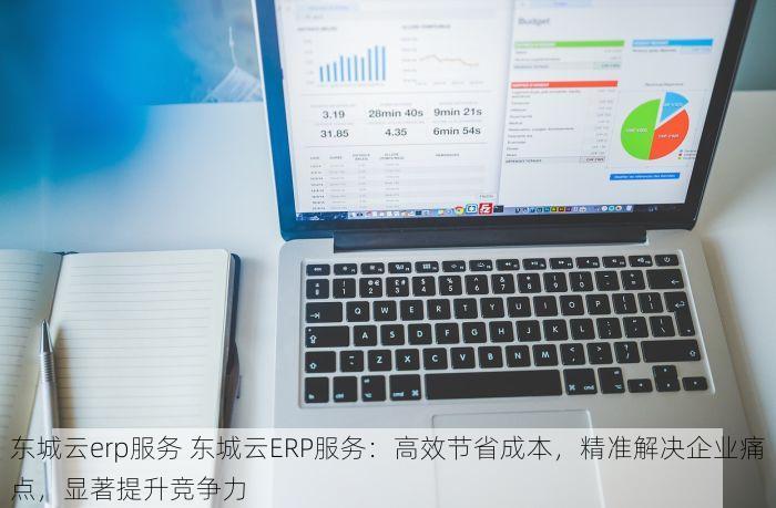 东城云erp服务 东城云ERP服务：高效节省成本，精准解决企业痛点，显著提升竞争力