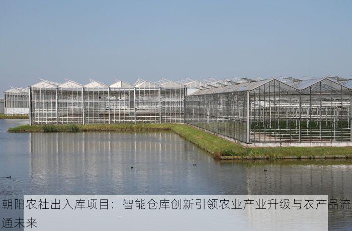 朝阳农社出入库项目：智能仓库创新引领农业产业升级与农产品流通未来