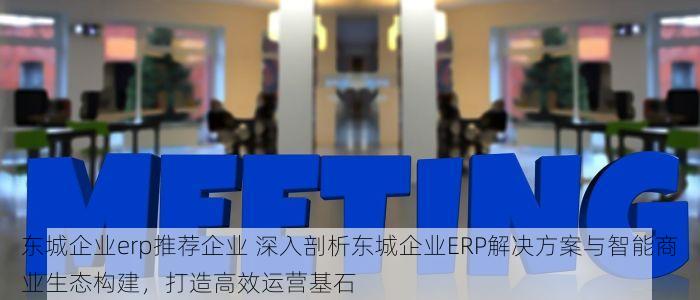 东城企业erp推荐企业 深入剖析东城企业ERP解决方案与智能商业生态构建，打造高效运营基石