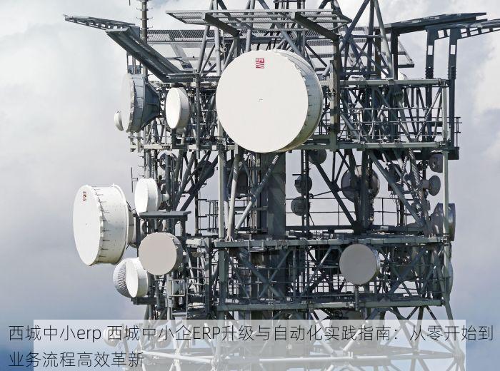 西城中小erp 西城中小企ERP升级与自动化实践指南：从零开始到业务流程高效革新