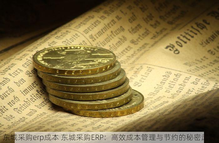 东城采购erp成本 东城采购ERP：高效成本管理与节约的秘密武器