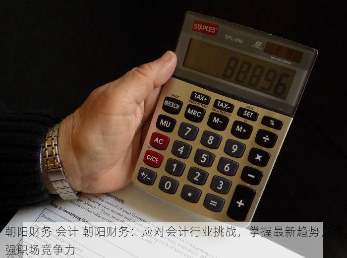 东城会计记账在哪里做好 东城中小企业主必看！这家会计记账公司服务项目全且值得信赖