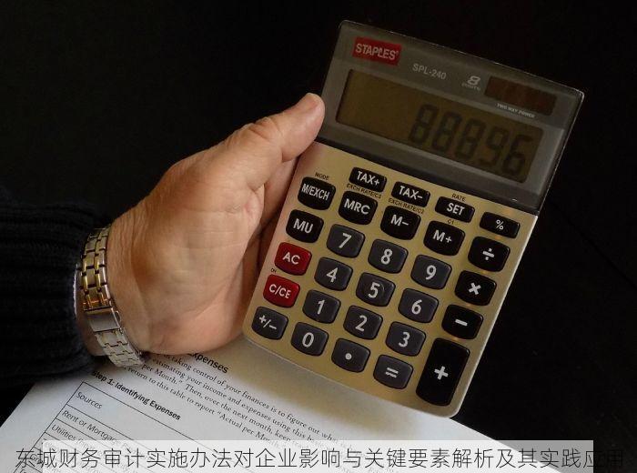 东城财务审计实施办法对企业影响与关键要素解析及其实践应用