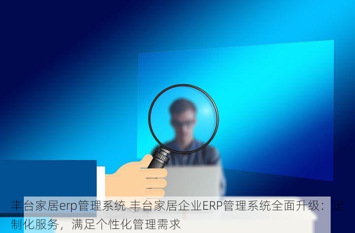 丰台家居erp管理系统 丰台家居企业ERP管理系统全面升级：定制化服务，满足个性化管理需求