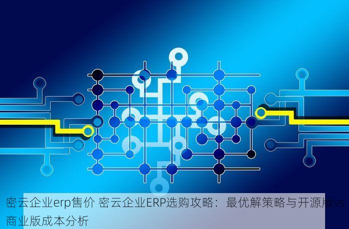 密云企业erp售价 密云企业ERP选购攻略：最优解策略与开源版vs商业版成本分析