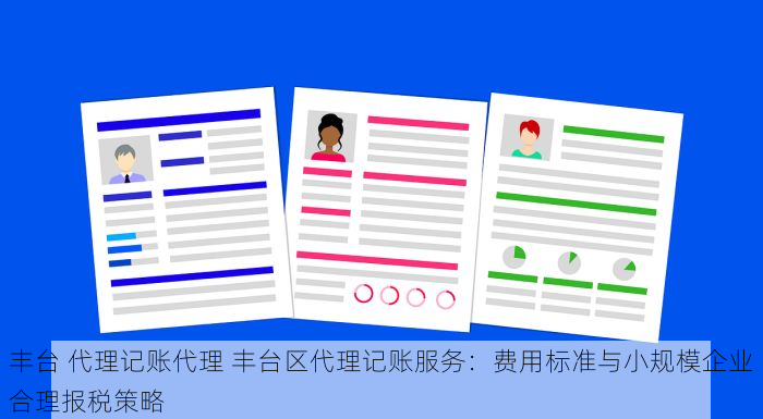 北京的发票北京系统里没有 北京发票管理与系统升级：高效管理公司发票的策略与应对措施