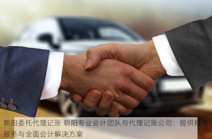 北京的发票北京系统里没有 深度解析北京发票未显示与查询不到的系统延迟及解决对策