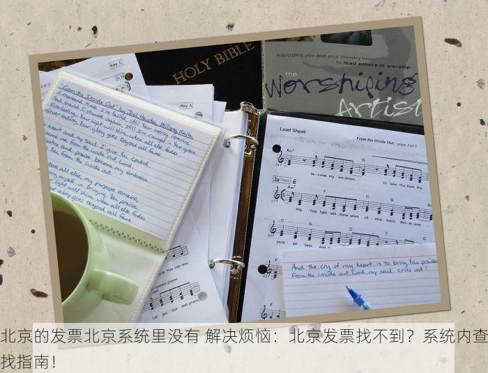 北京发票北京验票系统查询全流程解析，九个步骤助您成功