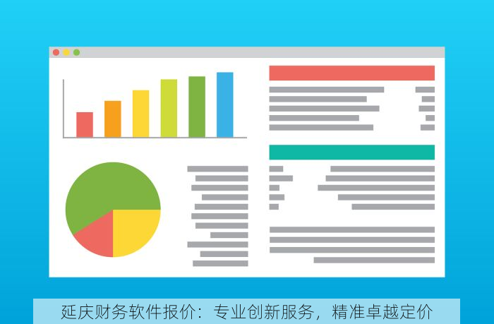 延庆财务软件报价：专业创新服务，精准卓越定价