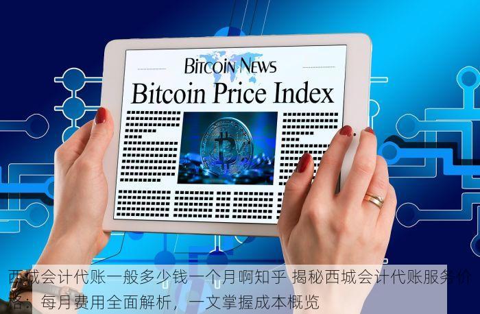 石家庄西城报税记账软件：财税管理实用技巧与中小企业选择要点