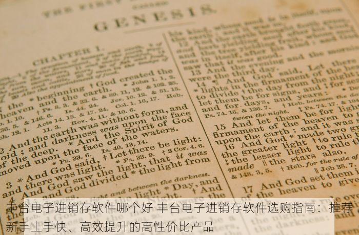 丰台电子进销存软件哪个好 丰台电子进销存软件选购指南：推荐新手上手快、高效提升的高性价比产品