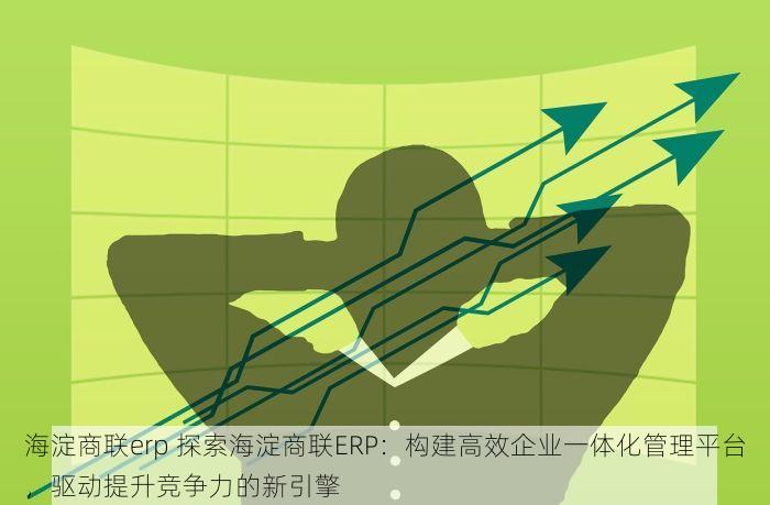 海淀商联erp 探索海淀商联ERP：构建高效企业一体化管理平台，驱动提升竞争力的新引擎