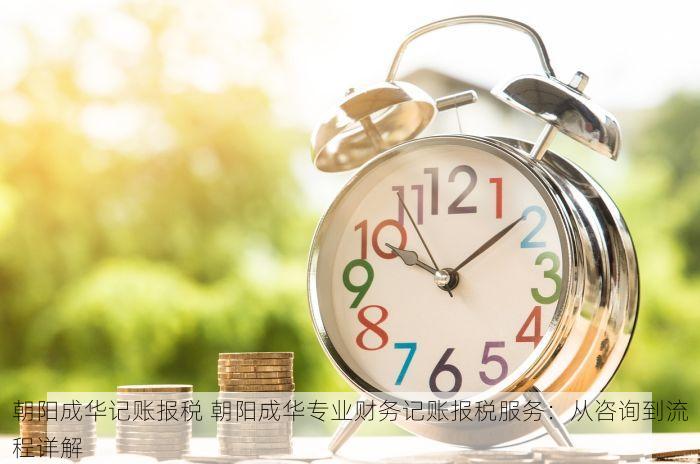 朝阳成华记账报税 朝阳成华专业财务记账报税服务：从咨询到流程详解
