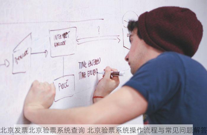 北京发票北京验票系统查询 北京验票系统操作流程与常见问题解答