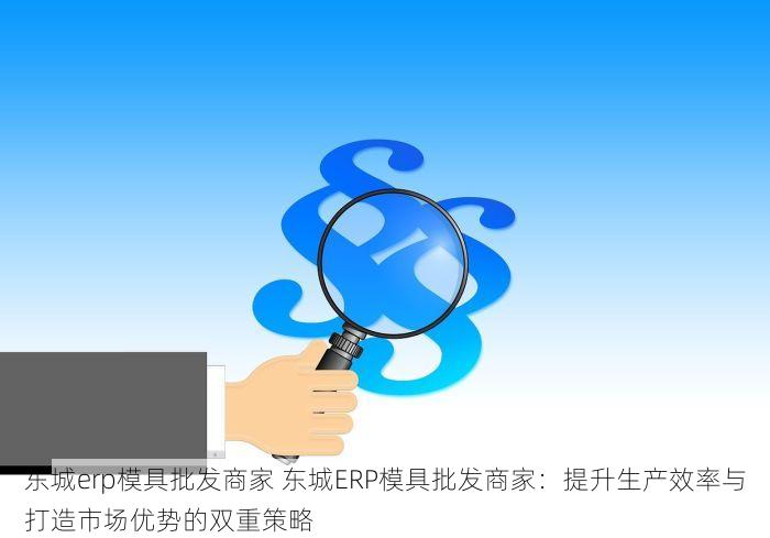 东城erp模具批发商家 东城ERP模具批发商家：提升生产效率与打造市场优势的双重策略