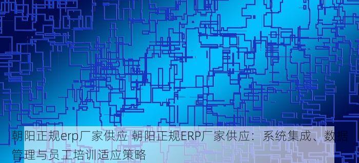 怀柔外贸服装erp多少钱一件合适 外贸服装行业趋势与ERP系统选型：怀柔地区定制化解决方案及价格指南