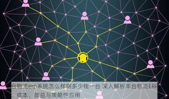 丰台物流erp系统怎么样啊多少钱一台 深入解析丰台物流ERP系统：成本、效益与策略性应用