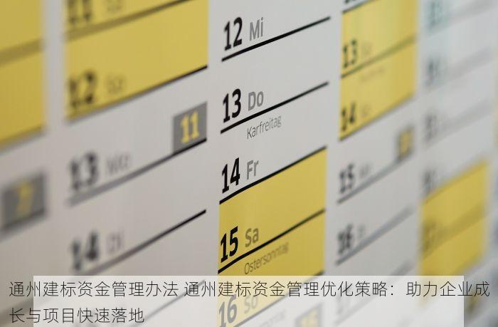 通州建标资金管理办法 通州建标资金管理优化策略：助力企业成长与项目快速落地