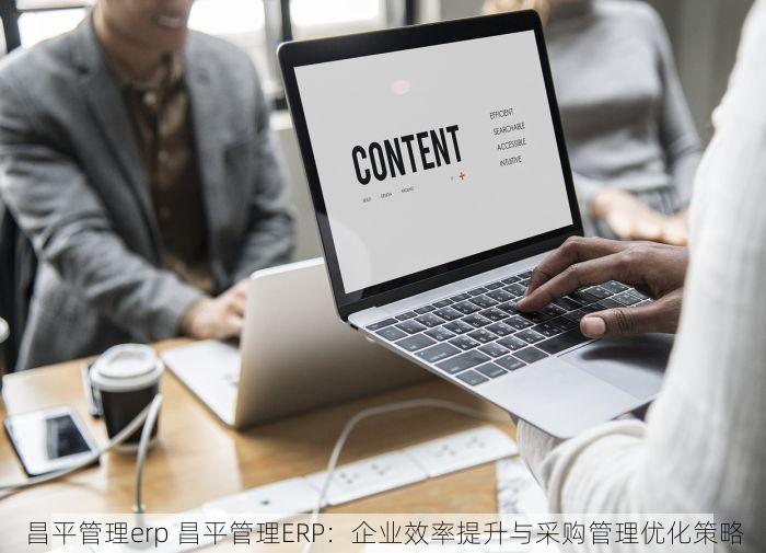 昌平管理erp 昌平管理ERP：企业效率提升与采购管理优化策略
