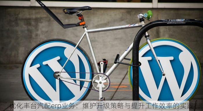 优化丰台汽配erp业务：维护升级策略与提升工作效率的实践