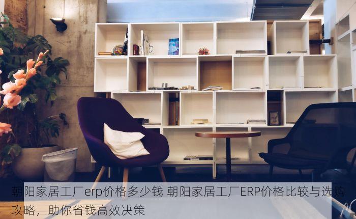 朝阳家居工厂erp价格多少钱 朝阳家居工厂ERP价格比较与选购攻略，助你省钱高效决策