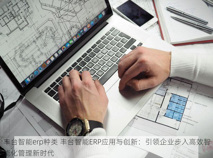 丰台智能erp种类 丰台智能ERP应用与创新：引领企业步入高效智能化管理新时代