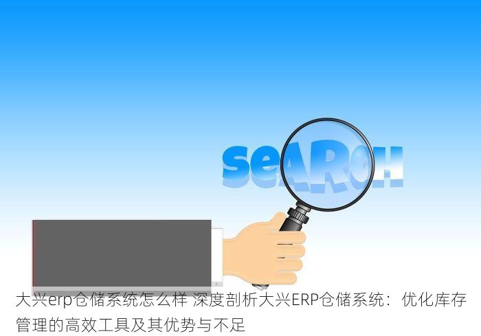 大兴erp仓储系统怎么样 深度剖析大兴ERP仓储系统：优化库存管理的高效工具及其优势与不足
