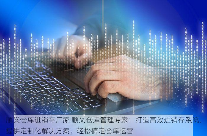 顺义仓库进销存厂家 顺义仓库管理专家：打造高效进销存系统，提供定制化解决方案，轻松搞定仓库运营