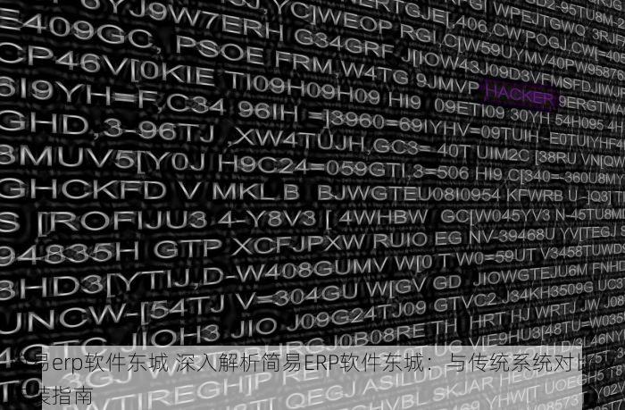 简易erp软件东城 深入解析简易ERP软件东城：与传统系统对比及安装指南