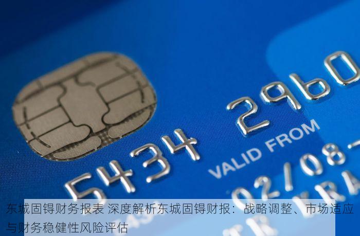 东城固锝财务报表 深度解析东城固锝财报：战略调整、市场适应与财务稳健性风险评估