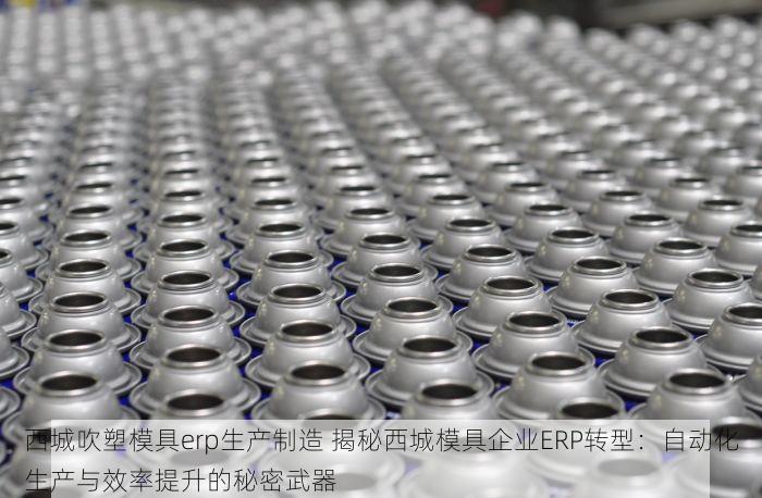 西城吹塑模具erp生产制造 揭秘西城模具企业ERP转型：自动化生产与效率提升的秘密武器