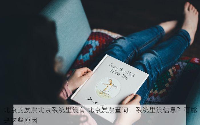 北京发票北京验票系统查询畅捷通助您轻松搞定发票问题！