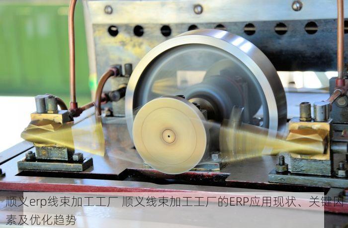 北京发票北京验票系统查询 权威指南：北京验票系统操作步骤详解与技巧分享