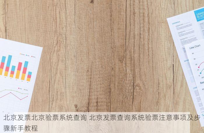 北京发票北京验票系统查询 北京发票查询系统验票注意事项及步骤新手教程