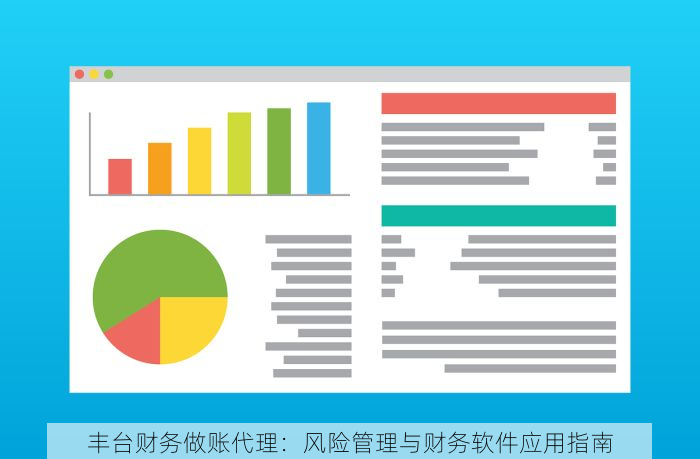 丰台财务做账代理：风险管理与财务软件应用指南