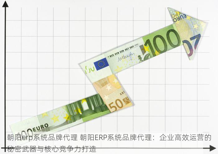 朝阳通用erp哪家好 如何选择合适的朝阳通用ERP及其实施难点解决方法