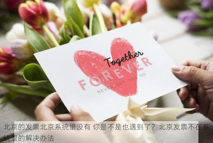 丰台皮具箱包erp软件：库存管理与进销存一体化提升效率必备工具