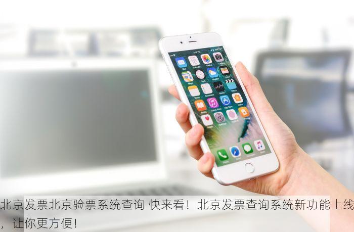 北京的发票北京系统里没有 权威渠道推荐：如何确认北京发票已录入系统并三步解决未同步问题