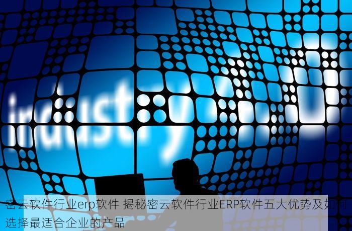 北京发票北京验票系统查询 北京发票查询与验票系统整合，功能详解助力企业财税管理