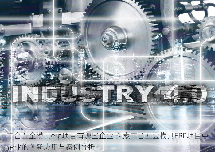 丰台五金模具erp项目有哪些企业 探索丰台五金模具ERP项目中企业的创新应用与案例分析