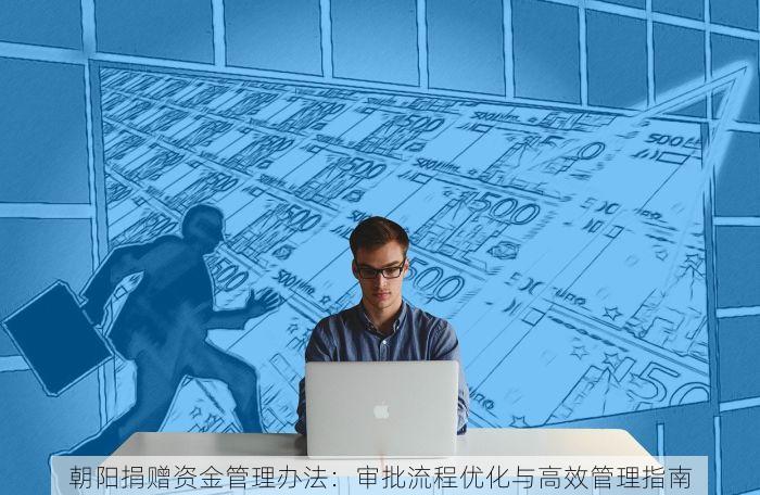 朝阳捐赠资金管理办法：审批流程优化与高效管理指南