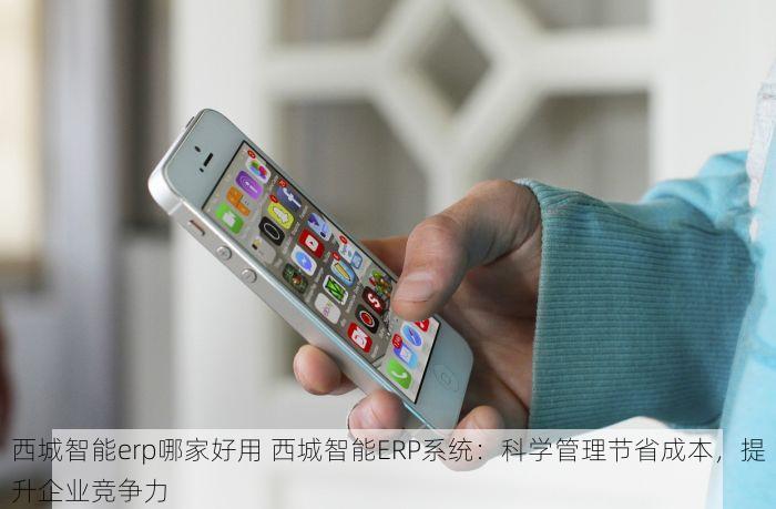 西城智能erp哪家好用 西城智能ERP系统：科学管理节省成本，提升企业竞争力