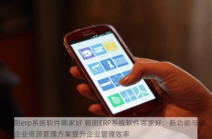 企业必备：昌平新点软件发票解决方案与查询系统快速上手指南