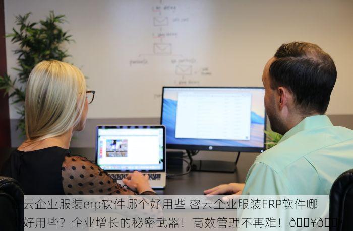 密云企业服装erp软件哪个好用些 密云企业服装ERP软件哪个好用些？企业增长的秘密武器！高效管理不再难！🔥💪
