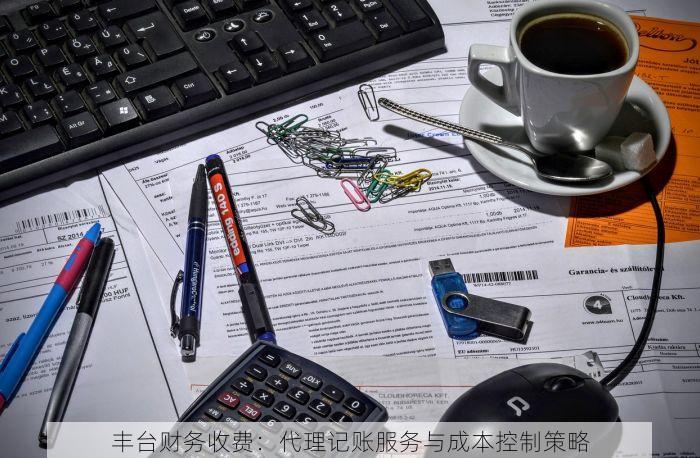 丰台财务收费：代理记账服务与成本控制策略