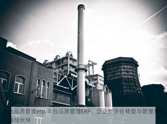 丰台品质管理erp 丰台品质管理ERP：企业数字化转型与管理升级的最佳伙伴