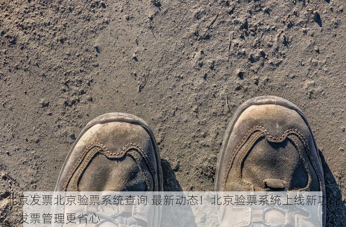 北京发票北京验票系统查询 最新动态！北京验票系统上线新功能，发票管理更省心