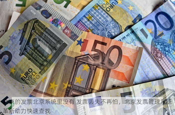 北京的发票北京系统里没有 北京发票查询难题破解：本地系统更新助力快速查找
