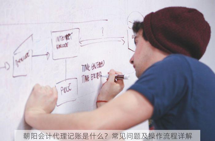 北京发票北京验票系统查询 掌握北京发票查询与验票系统使用的技巧及注意事项